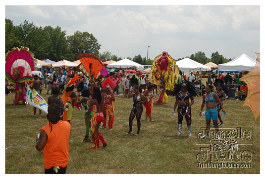 charlotte_caribbean_festival_2011-096