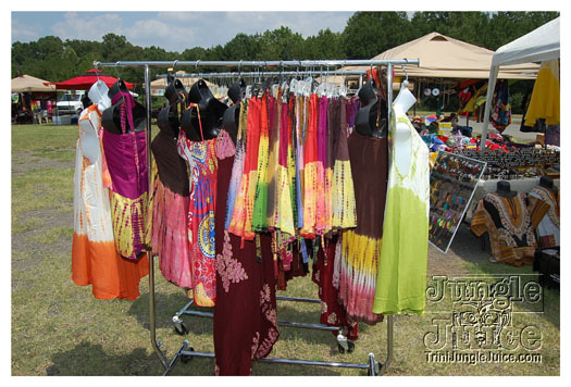 charlotte_caribbean_festival_2011-112
