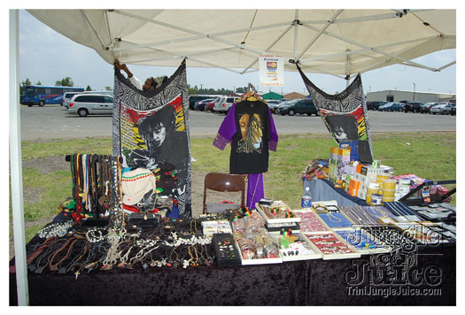 charlotte_caribbean_festival_2011-114