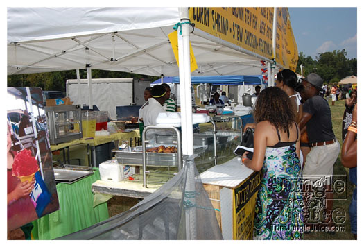 charlotte_caribbean_festival_2011-130