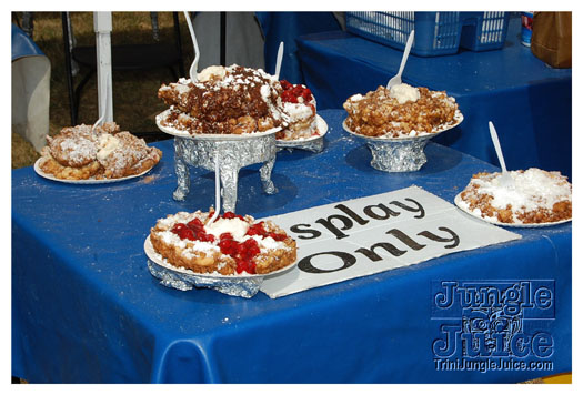 charlotte_caribbean_festival_2011-135