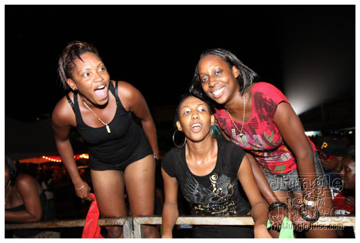 svg_fire_fete_2011-032