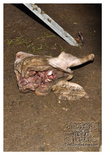 svg_soca_monarch_jul2-079