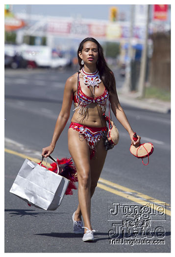 caribana_parade_2011-010