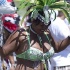 caribana_parade_2011-140