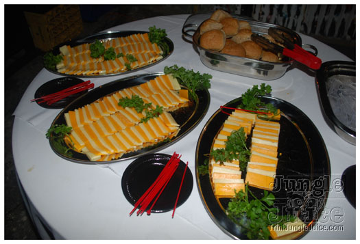 3canal_media_launch_2011-002