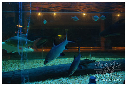 addictive_fridays_may21-031