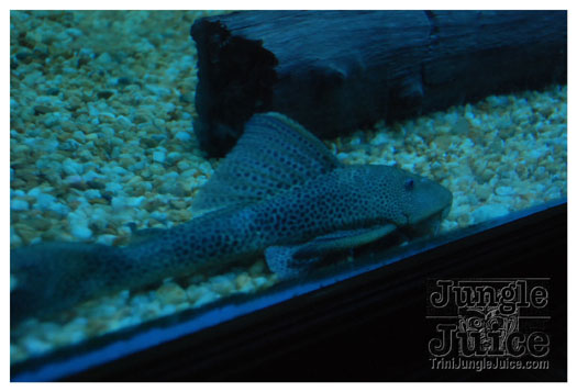 addictive_fridays_may21-051