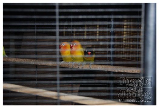 addictive_fridays_may21-072