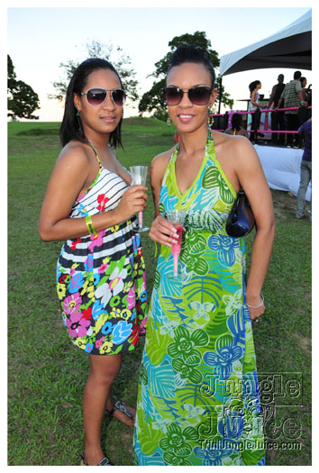 beach_house_2011_part1-015