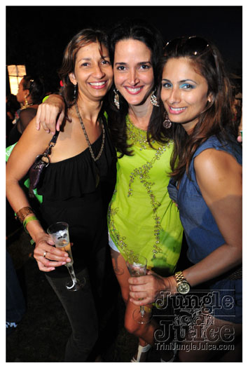 beach_house_2011_part1-063