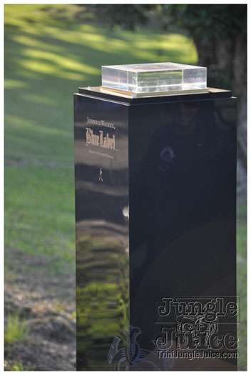 beach_house_2011_part2-005