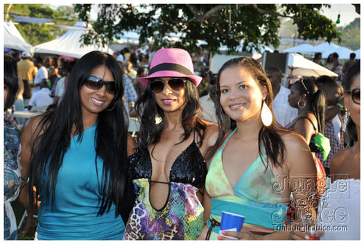 beach_house_2011_part2-013