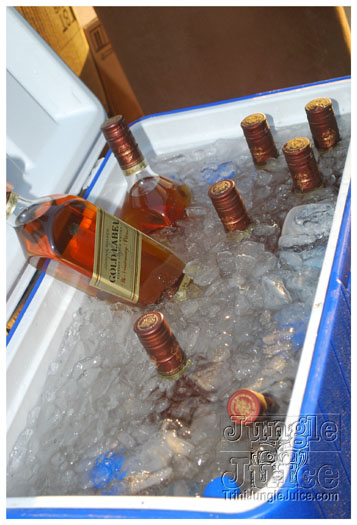 beach_house_2011_part2-019