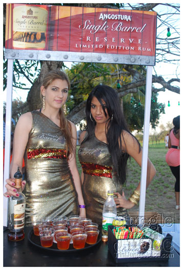 beach_house_2011_part2-028