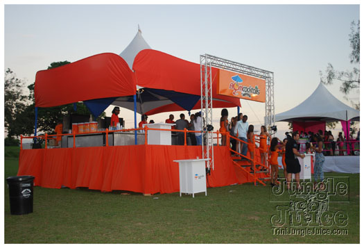 beach_house_2011_part2-052