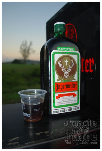 beach_house_2011_part2-053