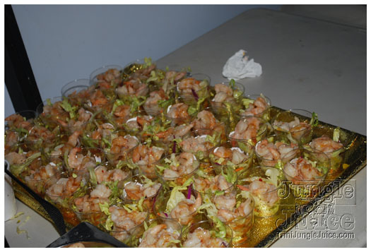 beach_house_2011_part2-071