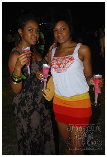 beach_house_2011_part2-089