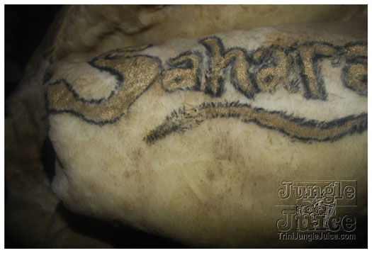 black_to_blue_2011_jan15-075