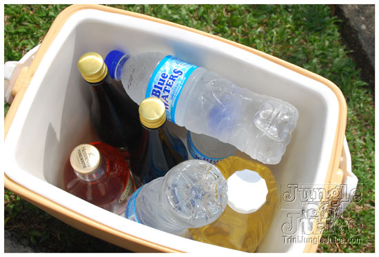 campus_carnival_2011-062