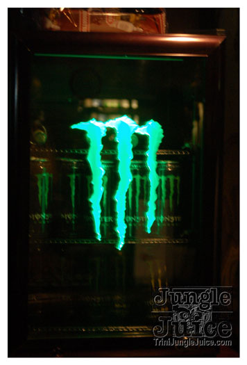 chameleon_saturdays_feb5-042