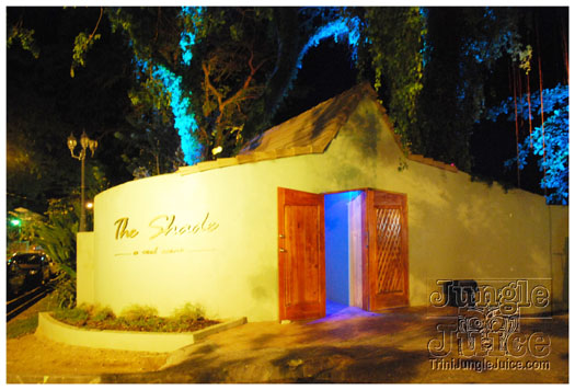 colours_of_shade_4_2011-001