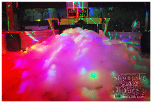 colours_of_shade_4_2011-006