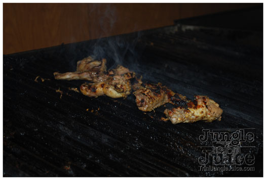 colours_of_shade_4_2011-082