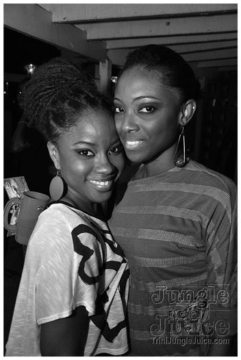 flight_cruise_carnival_2011-004