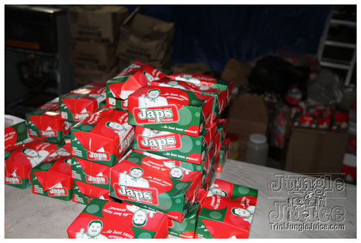 flight_cruise_carnival_2011-038