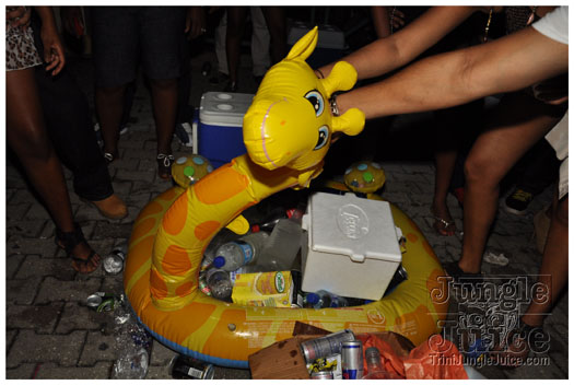 flight_cruise_carnival_2011-047