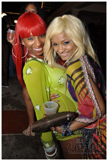 flight_cruise_carnival_2011-083