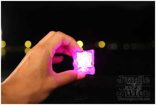 frenzy_boatride_2011-147