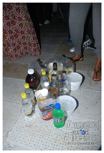 house_party_carnival_2011-044