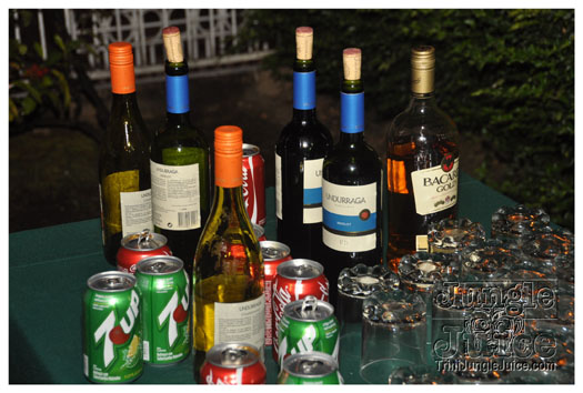 if_you_say_so_feb16-046