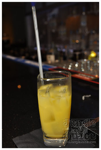 ipanema_launch_jun11-001