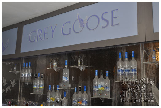 ipanema_launch_jun11-002