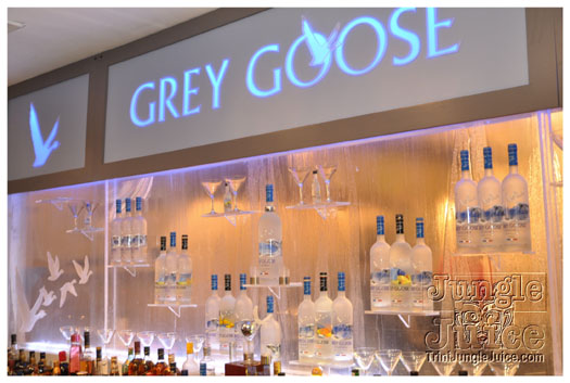 ipanema_launch_jun11-003