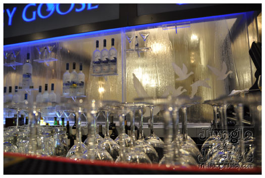 ipanema_launch_jun11-007