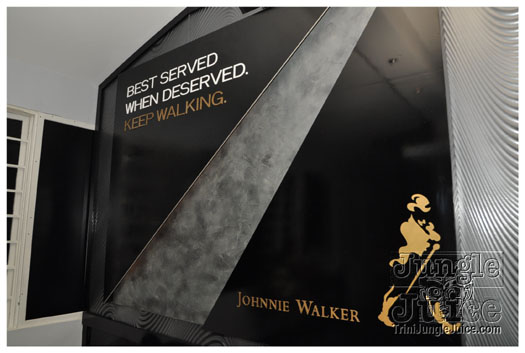 ipanema_launch_jun11-010