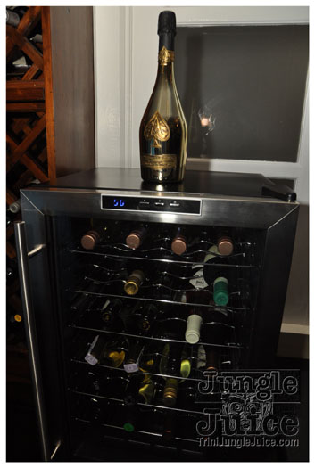 ipanema_launch_jun11-022