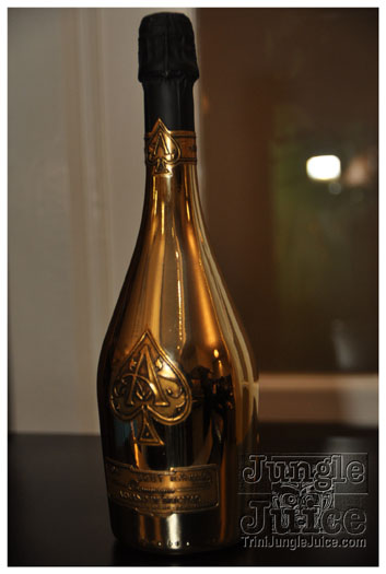 ipanema_launch_jun11-023