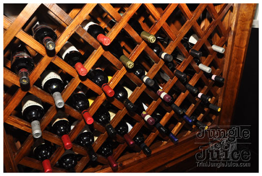 ipanema_launch_jun11-024