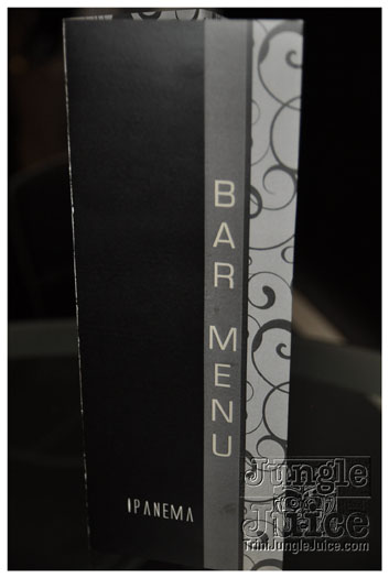 ipanema_launch_jun11-029