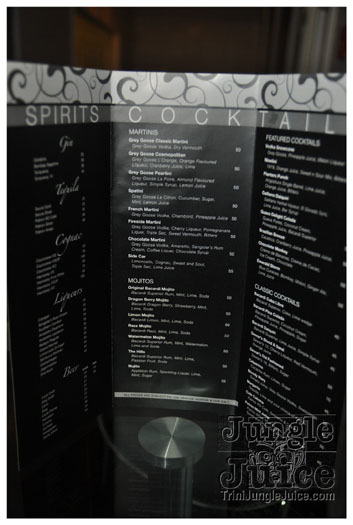 ipanema_launch_jun11-030