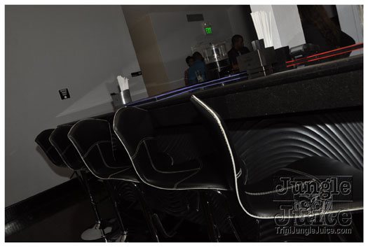 ipanema_launch_jun11-036