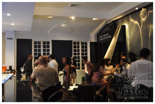 ipanema_launch_jun11-037