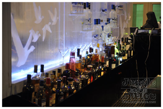 ipanema_launch_jun11-038