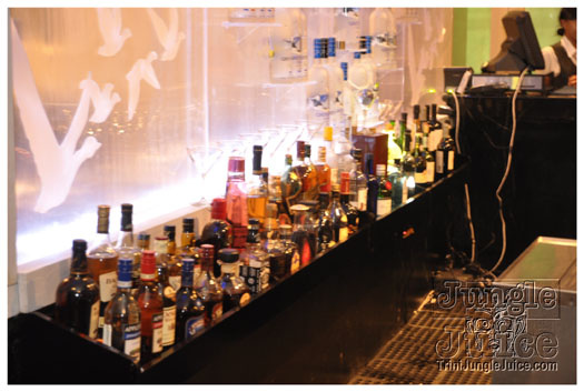 ipanema_launch_jun11-039